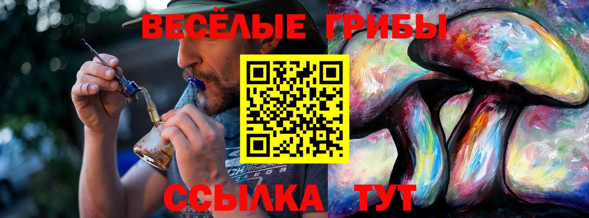Галлюциногенные грибы Psilocybe Ахтубинск